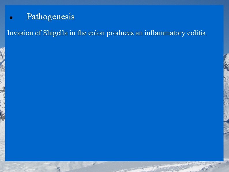  Pathogenesis Invasion of Shigella in the colon produces an inflammatory colitis. 