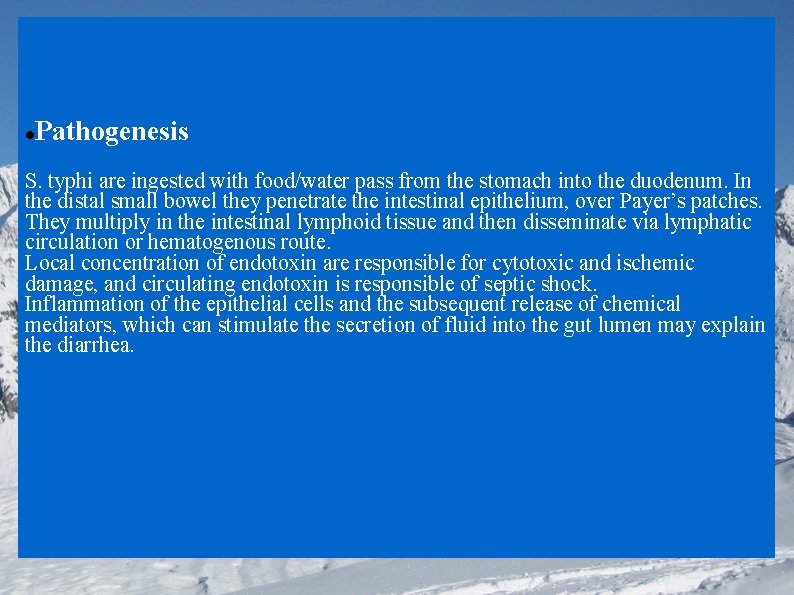 Pathogenesis S. typhi are ingested with food/water pass from the stomach into the duodenum.