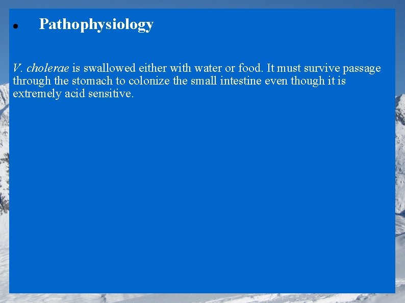  Pathophysiology V. cholerae is swallowed either with water or food. It must survive