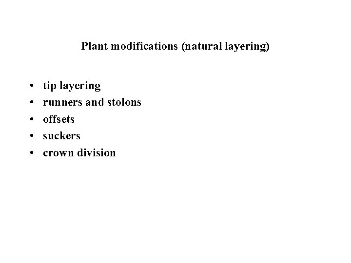 Plant modifications (natural layering) • • • tip layering runners and stolons offsets suckers