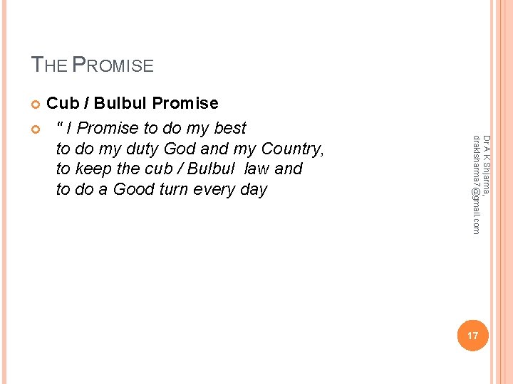 THE PROMISE Cub / Bulbul Promise " I Promise to do my best to