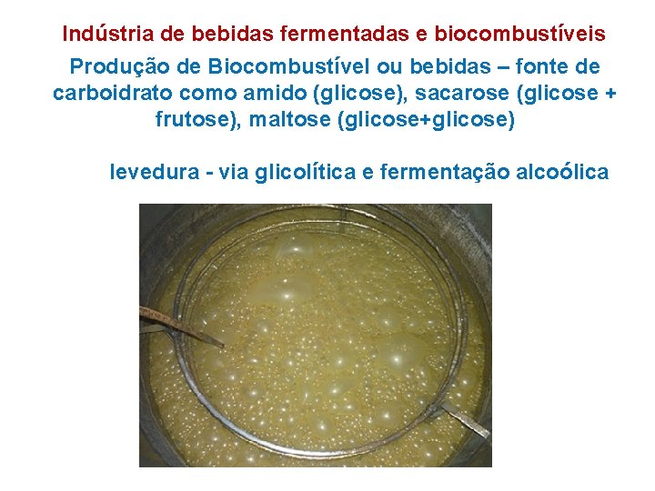 Indústria de bebidas fermentadas e biocombustíveis Produção de Biocombustível ou bebidas – fonte de