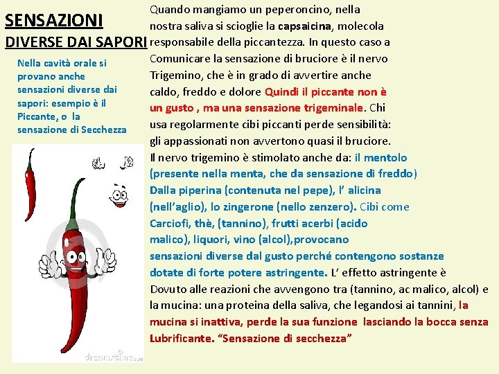 Quando mangiamo un peperoncino, nella SENSAZIONI nostra saliva si scioglie la capsaicina, molecola DIVERSE Quando mangiamo un peperoncino, nella SENSAZIONI nostra saliva si scioglie la capsaicina, molecola DIVERSE
