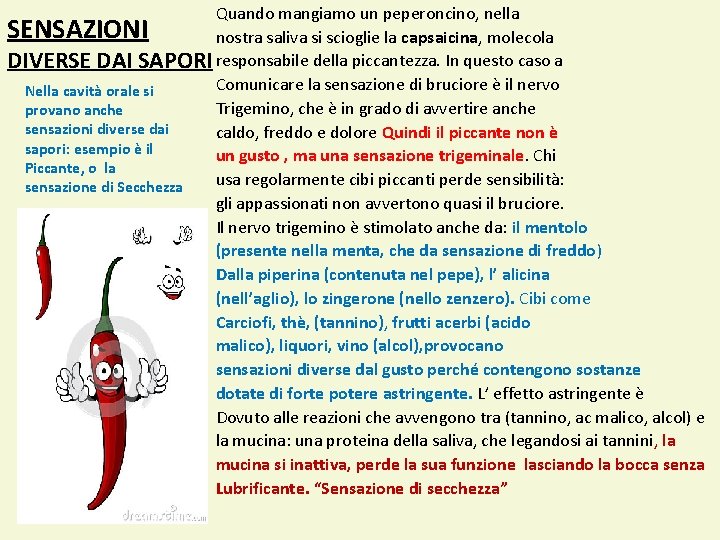 Quando mangiamo un peperoncino, nella SENSAZIONI nostra saliva si scioglie la capsaicina, molecola DIVERSE