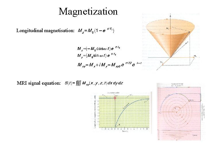 Magnetization Longitudinal magnetisation: MRI signal equation: Magnetization Longitudinal magnetisation: MRI signal equation: