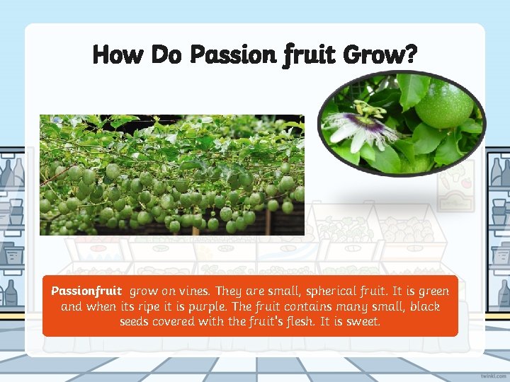 How Do Passion fruit Grow? Passionfruit grow on vines. They are small, spherical fruit.