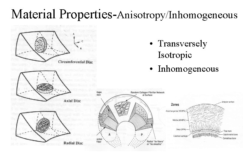 Material Properties-Anisotropy/Inhomogeneous • Transversely Isotropic • Inhomogeneous 