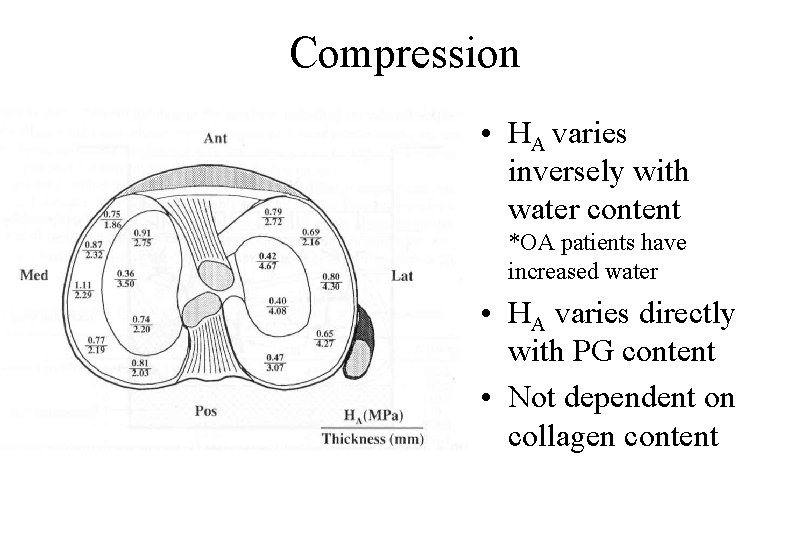 Compression • HA varies inversely with water content *OA patients have increased water •