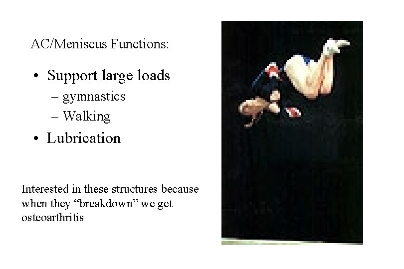 AC/Meniscus Functions: • Support large loads – gymnastics – Walking • Lubrication Interested in