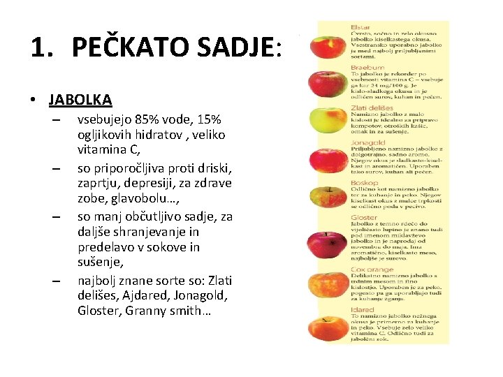 1. PEČKATO SADJE: • JABOLKA – – vsebujejo 85% vode, 15% ogljikovih hidratov ,