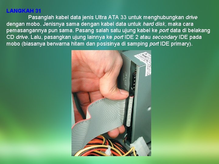 LANGKAH 31 Pasanglah kabel data jenis Ultra ATA 33 untuk menghubungkan drive dengan mobo.