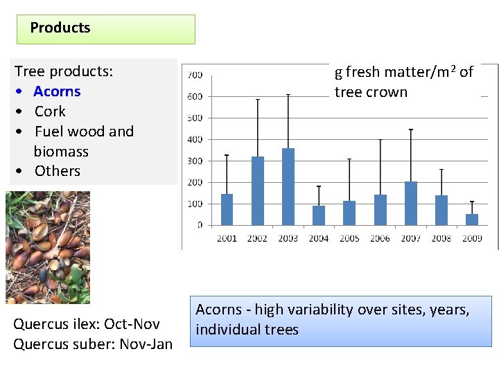 Products Tree products: • Acorns • Cork • Fuel wood and biomass • Others