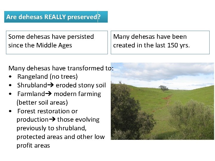 Are dehesas REALLY preserved? Some dehesas have persisted since the Middle Ages Many dehesas