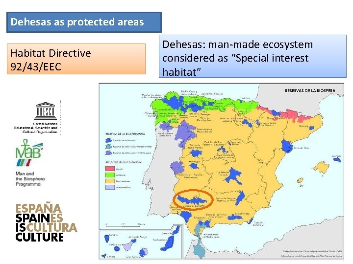Dehesas as protected areas Habitat Directive 92/43/EEC Dehesas: man-made ecosystem considered as “Special interest