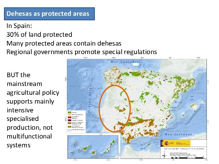 Dehesas as protected areas In Spain: 30% of land protected Many protected areas contain