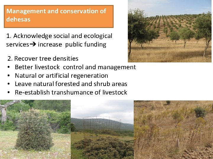 Management and conservation of dehesas 1. Acknowledge social and ecological services➔ increase public funding