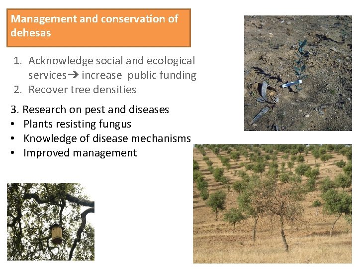 Management and conservation of dehesas 1. Acknowledge social and ecological services➔ increase public funding