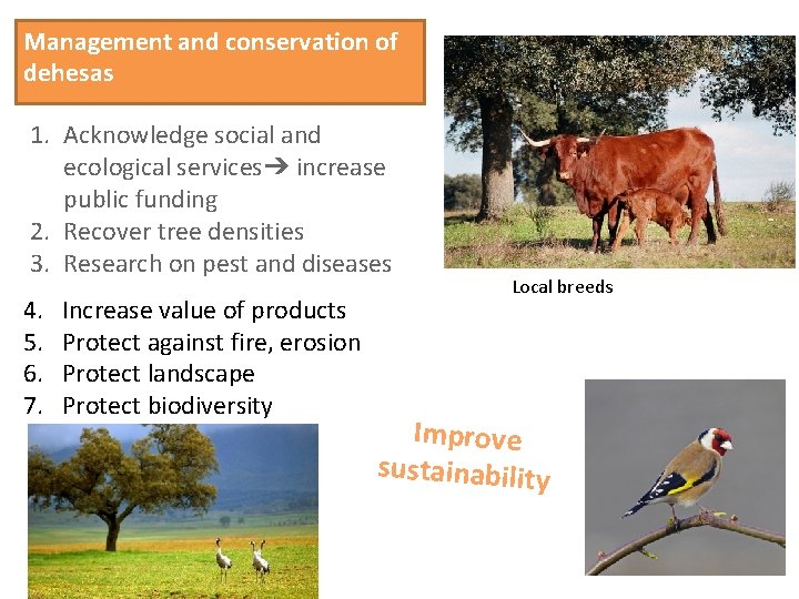 Management and conservation of dehesas 1. Acknowledge social and ecological services➔ increase public funding