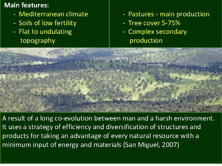 Main features: - Mediterranean climate - Soils of low fertility - Flat to undulating
