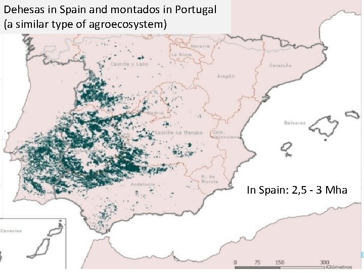 Dehesas in Spain and montados in Portugal (a similar type of agroecosystem) In Spain: