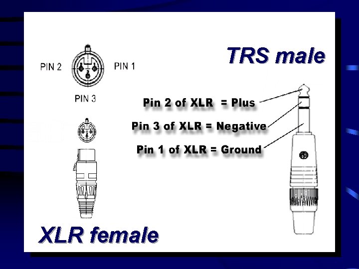 TRS male XLR female 