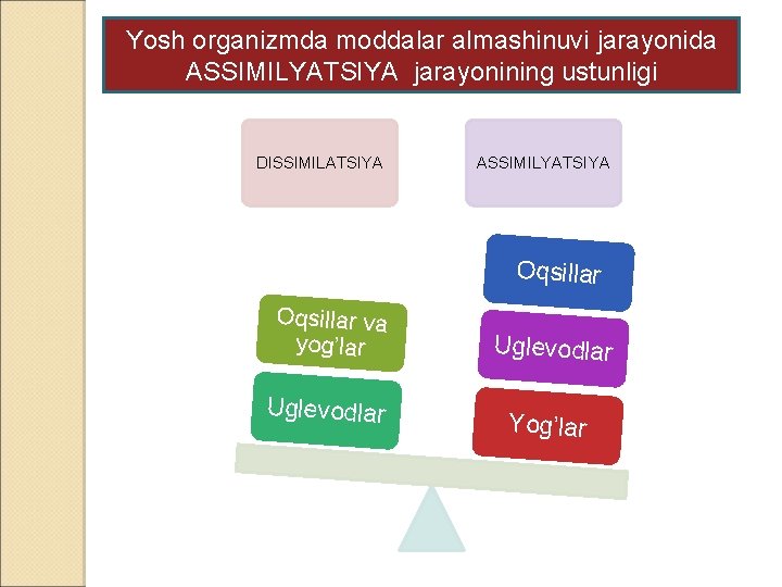 Yosh organizmda moddalar almashinuvi jarayonida ASSIMILYATSIYA jarayonining ustunligi DISSIMILATSIYA ASSIMILYATSIYA Oqsillar va yog’lar Uglevodlar