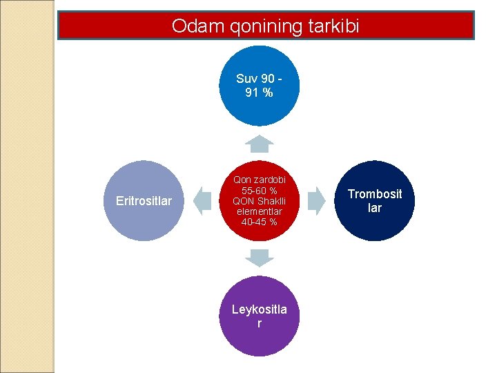 Odam qonining tarkibi Suv 90 91 % Eritrositlar Qon zardobi 55 -60 % QON