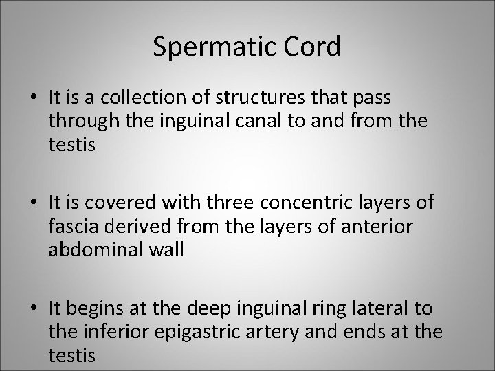 Spermatic Cord • It is a collection of structures that pass through the inguinal
