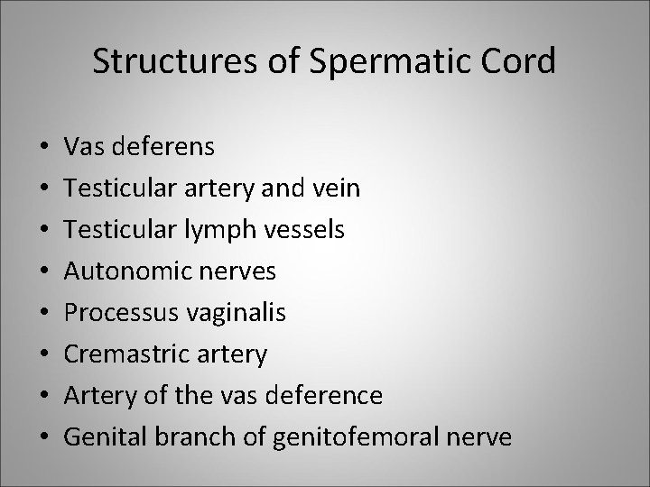 Structures of Spermatic Cord • • Vas deferens Testicular artery and vein Testicular lymph