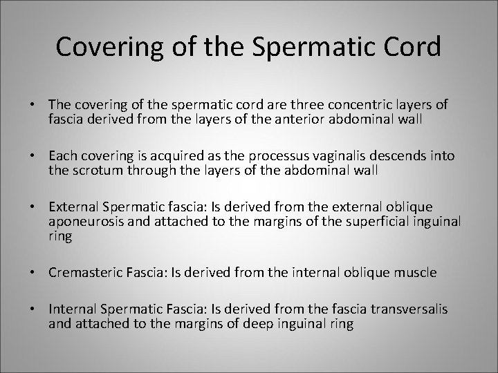 Covering of the Spermatic Cord • The covering of the spermatic cord are three