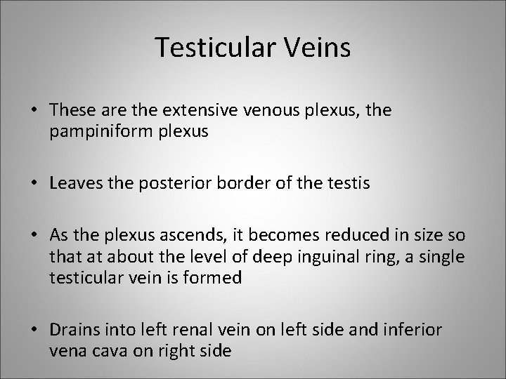 Testicular Veins • These are the extensive venous plexus, the pampiniform plexus • Leaves