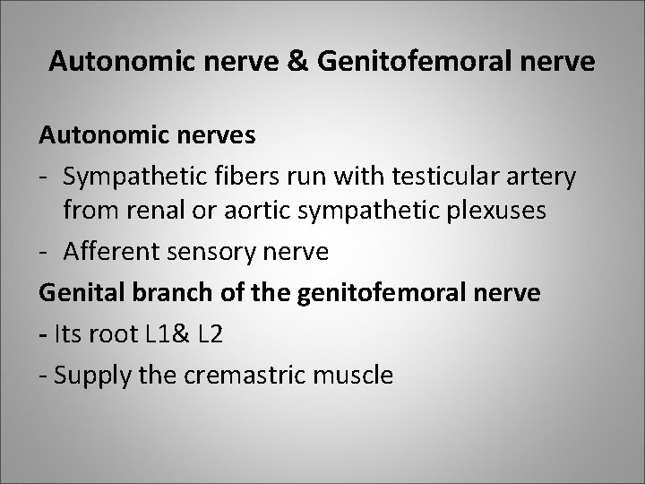 Autonomic nerve & Genitofemoral nerve Autonomic nerves - Sympathetic fibers run with testicular artery