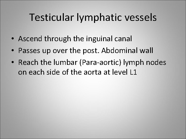 Testicular lymphatic vessels • Ascend through the inguinal canal • Passes up over the