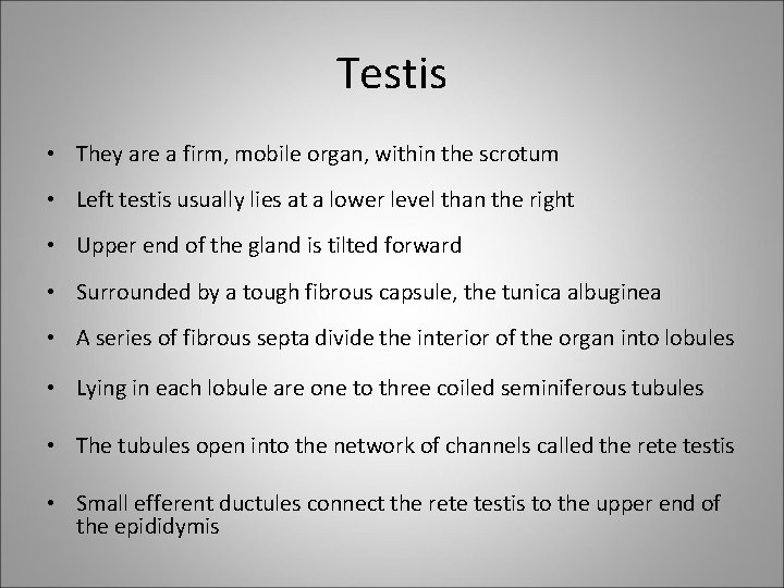 Testis • They are a firm, mobile organ, within the scrotum • Left testis