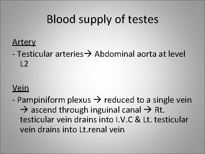 Blood supply of testes Artery - Testicular arteries Abdominal aorta at level L 2