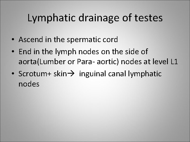 Lymphatic drainage of testes • Ascend in the spermatic cord • End in the
