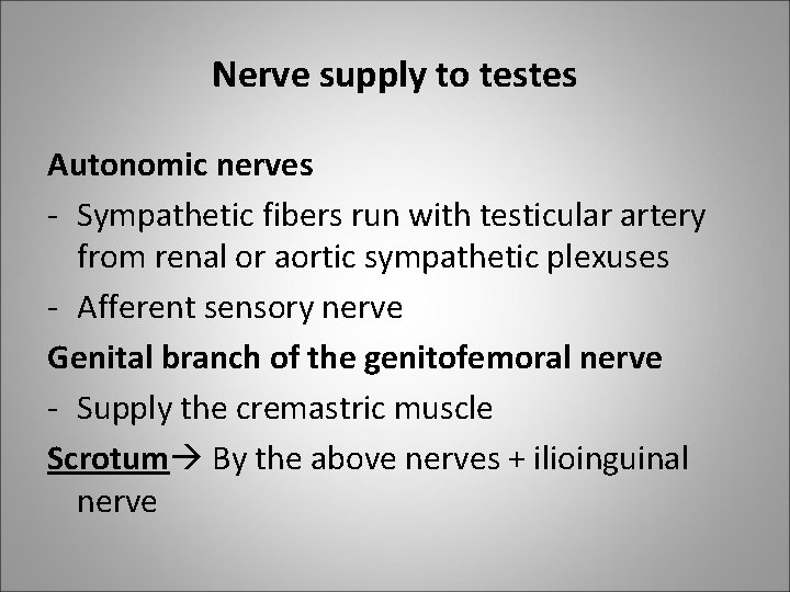 Nerve supply to testes Autonomic nerves - Sympathetic fibers run with testicular artery from