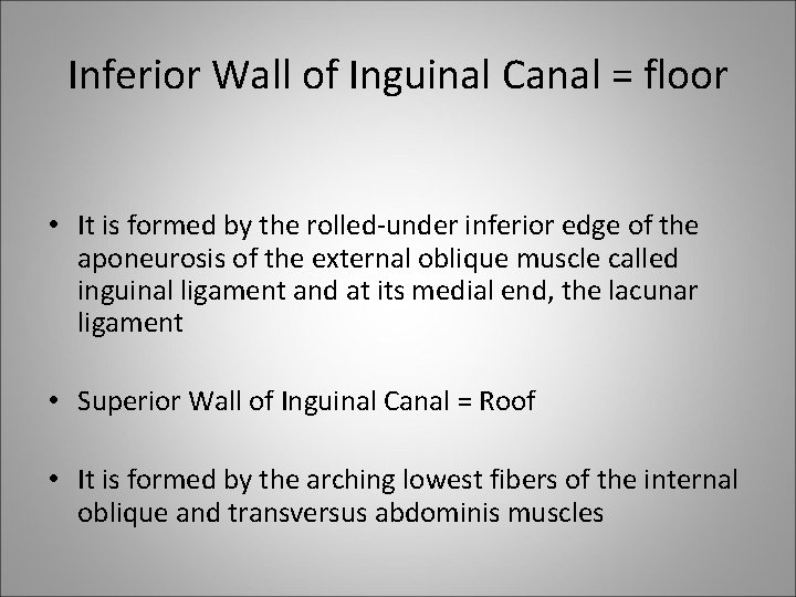 Inferior Wall of Inguinal Canal = floor • It is formed by the rolled-under