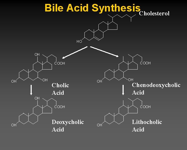Bile Acid Synthesis. Cholesterol HO OH COOH OH OH Cholic Acid OH OH Chenodeoxycholic