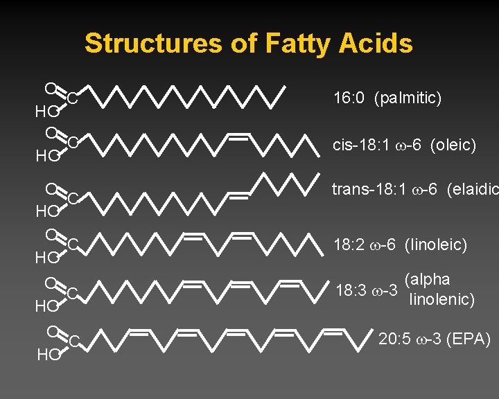 Structures of Fatty Acids O C HO 16: 0 (palmitic) cis-18: 1 -6 (oleic)