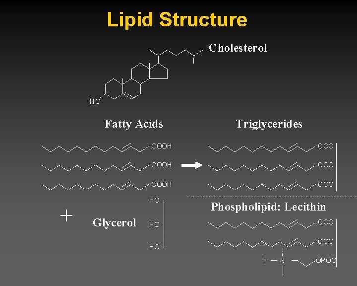 Lipid Structure Cholesterol HO Fatty Acids + COOH COO HO Glycerol Triglycerides Phospholipid: Lecithin