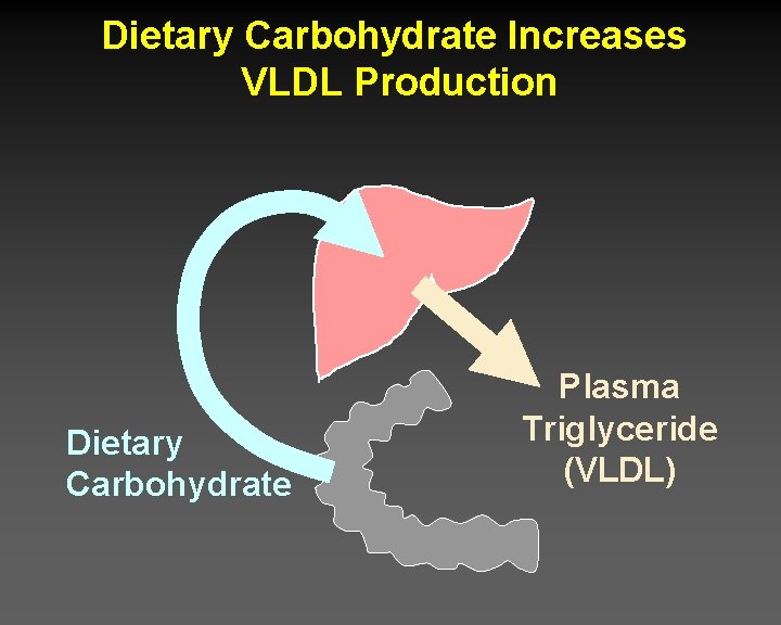 Dietary Carbohydrate Increases VLDL Production Dietary Carbohydrate Plasma Triglyceride (VLDL) 