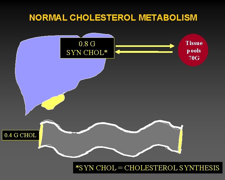 NORMAL CHOLESTEROL METABOLISM 0. 8 G SYN CHOL* Tissue pools 70 G 0. 4