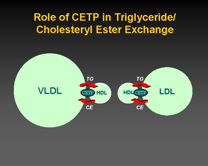 Role of CETP in Triglyceride/ Cholesteryl Ester Exchange TG VLDL CETP HDL CE TG
