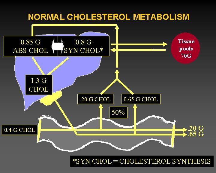 NORMAL CHOLESTEROL METABOLISM 0. 85 G ABS CHOL 0. 8 G SYN CHOL* Tissue