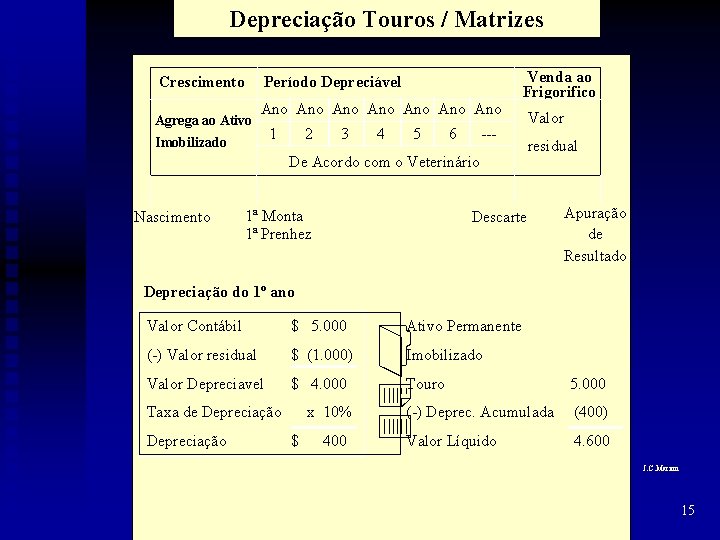 Depreciação Touros / Matrizes Crescimento Agrega ao Ativo Imobilizado Período Depreciável Ano Ano Venda