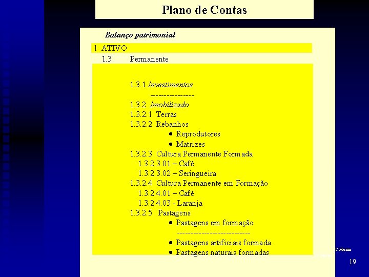 Plano de Contas Balanço patrimonial 1 ATIVO 1. 3 Permanente 1. 3. 1 Investimentos