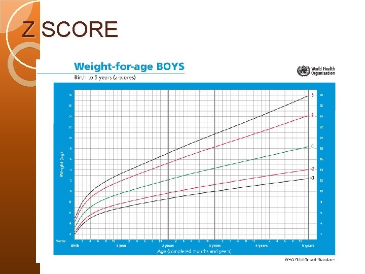 Z SCORE 