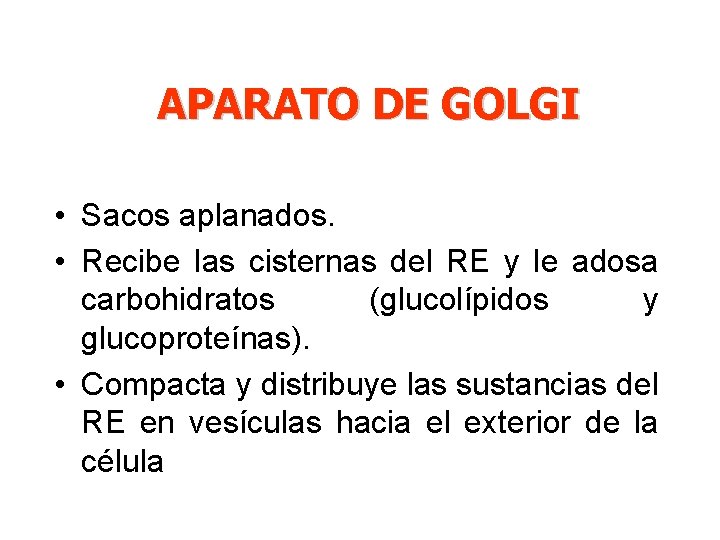 APARATO DE GOLGI • Sacos aplanados. • Recibe las cisternas del RE y le