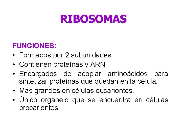 RIBOSOMAS FUNCIONES: • Formados por 2 subunidades. • Contienen proteínas y ARN. • Encargados